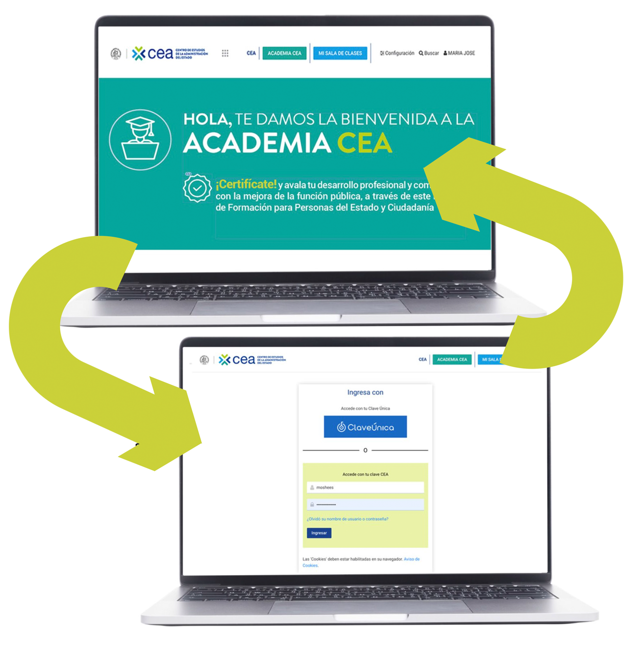 Aulavirtual QU ES LA ACADEMIA CEA 