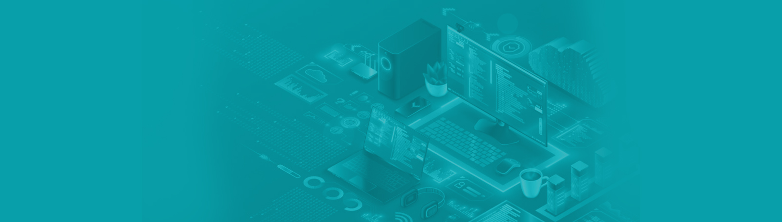 Software IDEA aplicado a la función de Control Externo