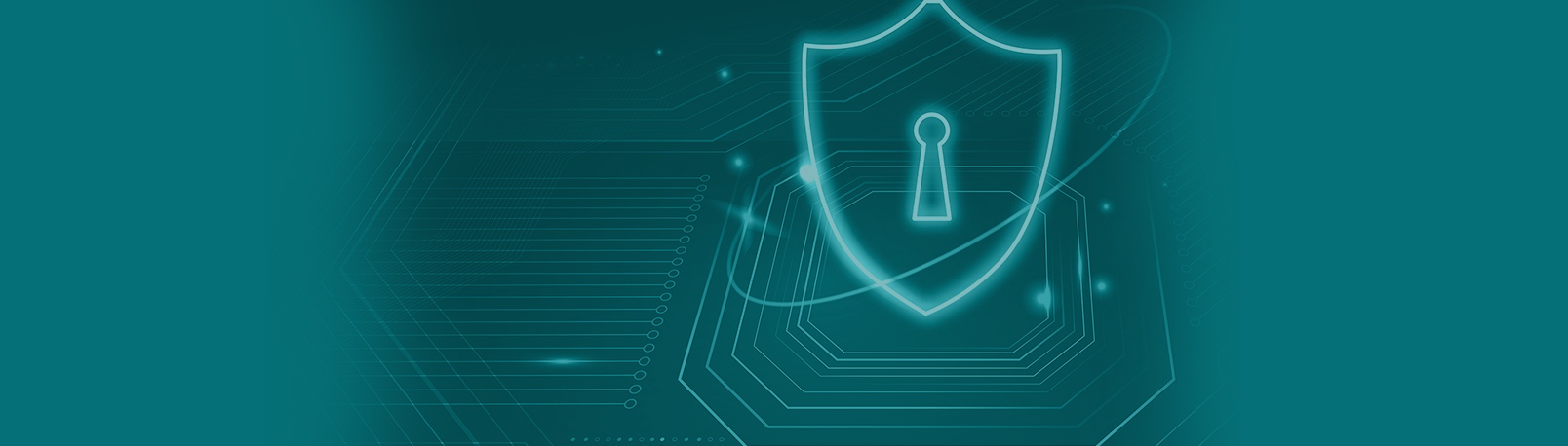 Introducción a la Ciberseguridad