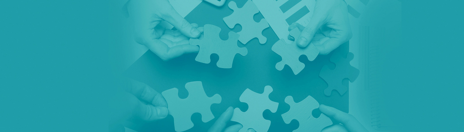 Organización Interna Municipal