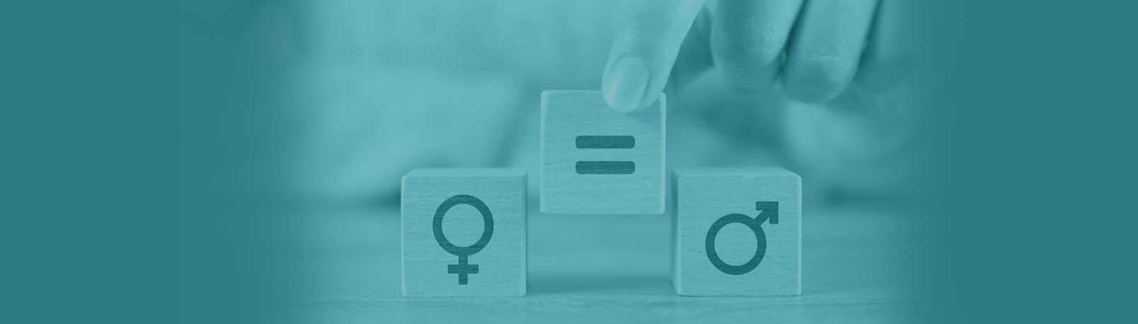 Introducción a la Igualdad de Género y No Discriminación