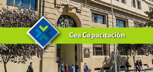 Inducción Profesionales- Testing