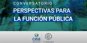 Perspectiva para la función pública