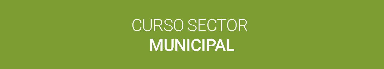 Inducción General a la Administración del Estado: Sector Municipal 2022