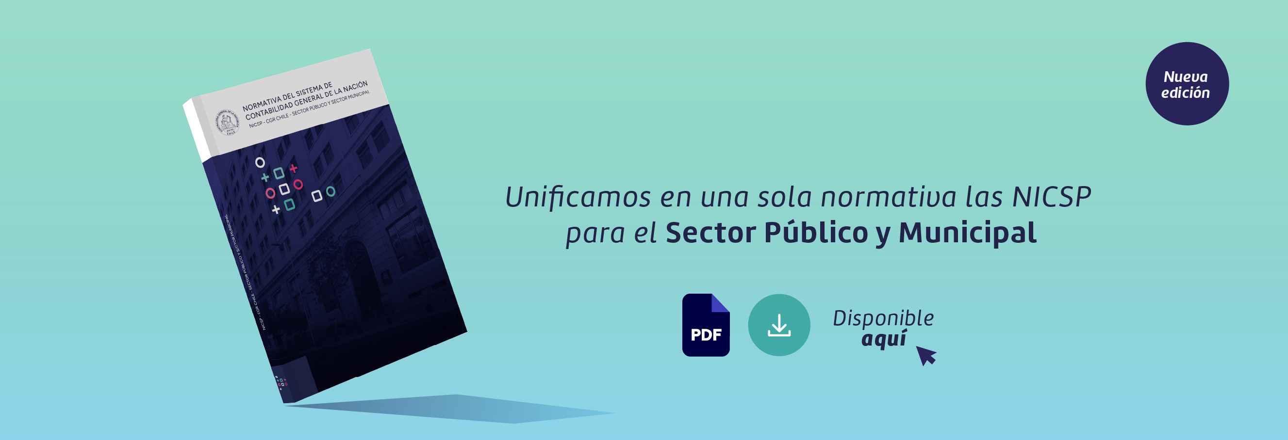 NICSP Público y Municipal